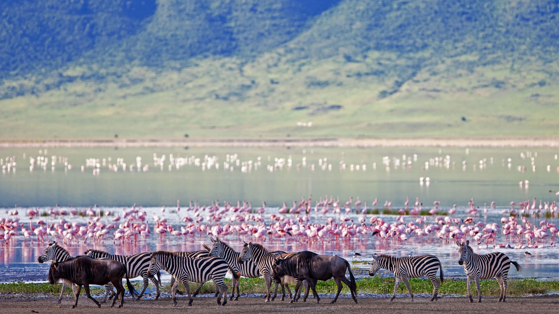 Maasai Mara